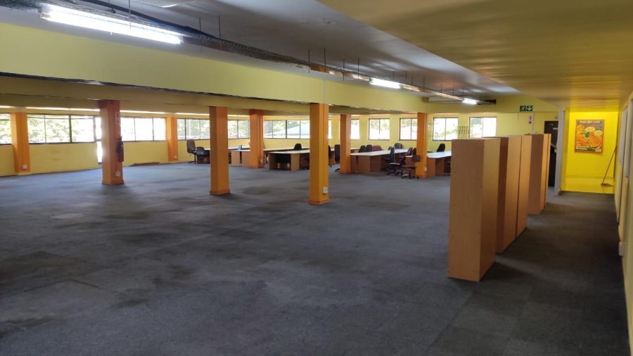 To Let commercial Property for Rent in Rondebosch Western Cape